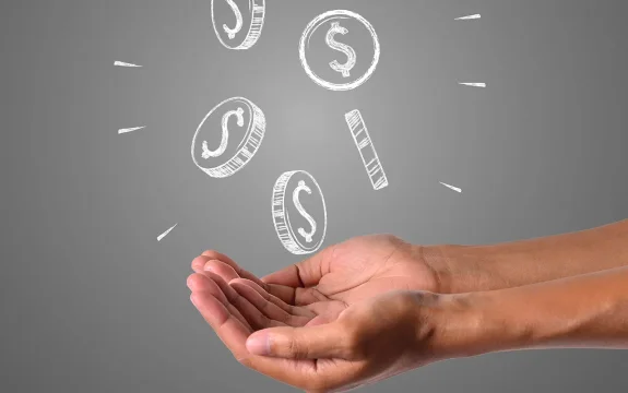 Hibe Ve Teşvik Danışmanlığı